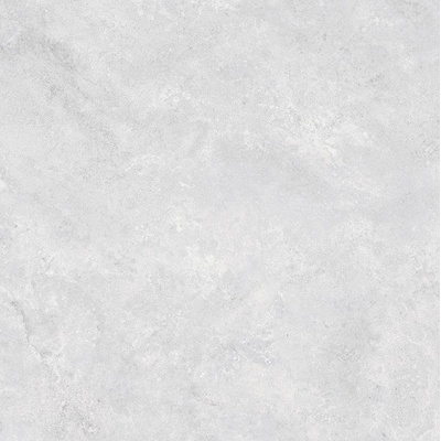 50*50 N. VISION GRAY