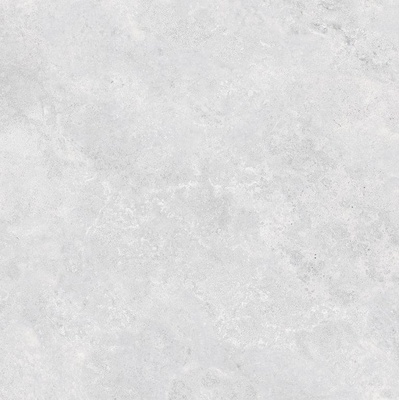 50*50 N. VISION GRAY