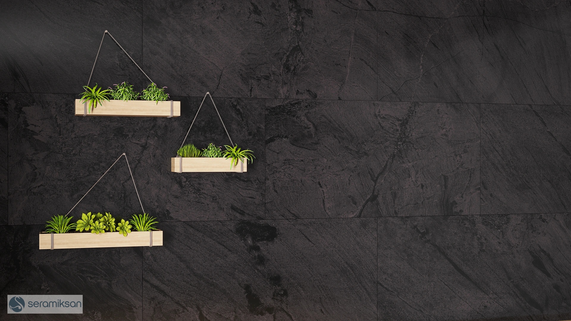 60*120 BLACK STAR MATT GLOSSY INK