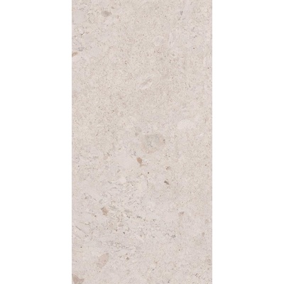 60*120 VENEZIA MATT BONE