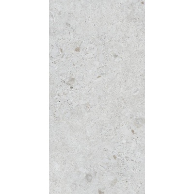 60*120 VENEZIA MATT BONE