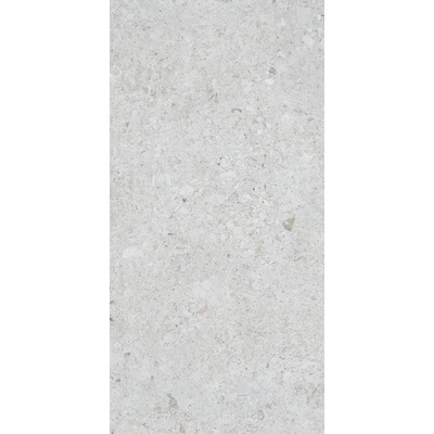 60*120 VENEZIA GRAY F.L