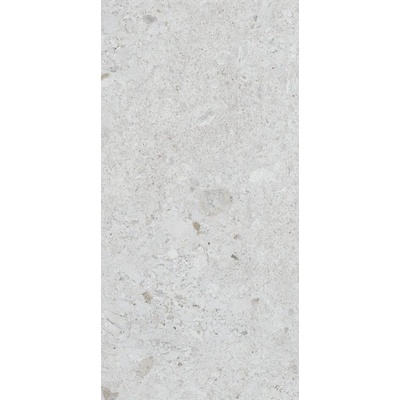 60*120 VENEZIA GRAY F.L